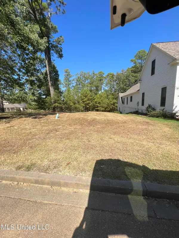 196 N Natchez Drive, Madison, MS 39110