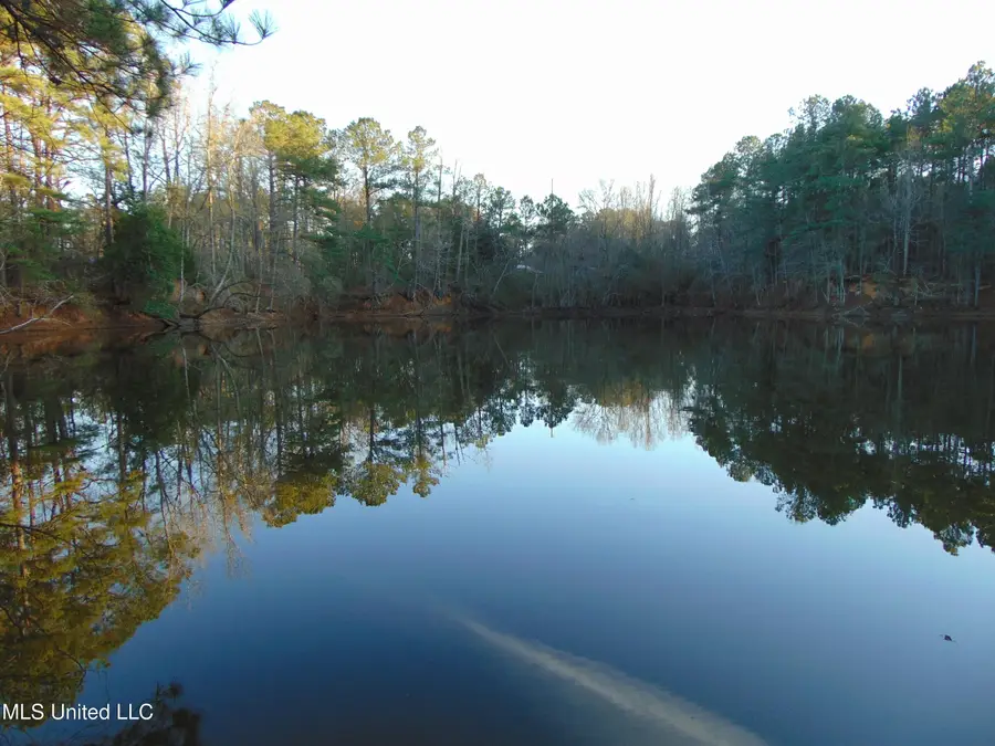 2605 NE Brignall Road, Brookhaven, MS 39601 - #2