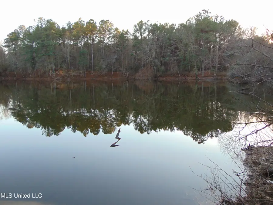 2605 NE Brignall Road, Brookhaven, MS 39601 - #3