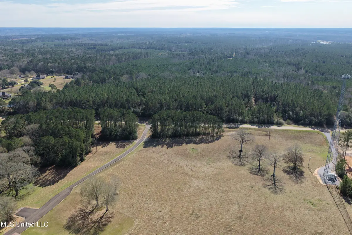 0 NE Hwy 44, Summit, MS 39666 - #1