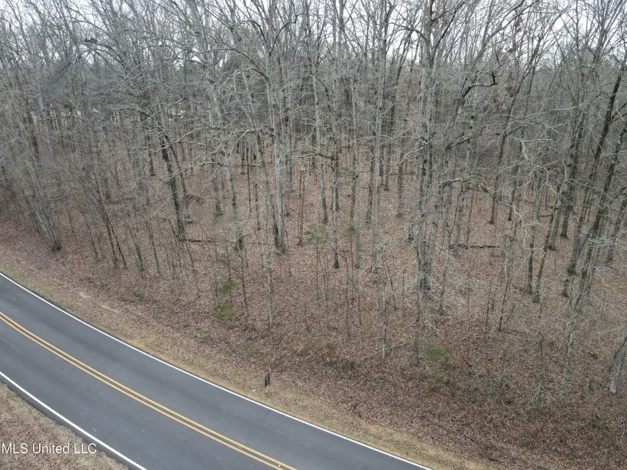 Woolsey Road, Olive Branch, MS 38654 - #3