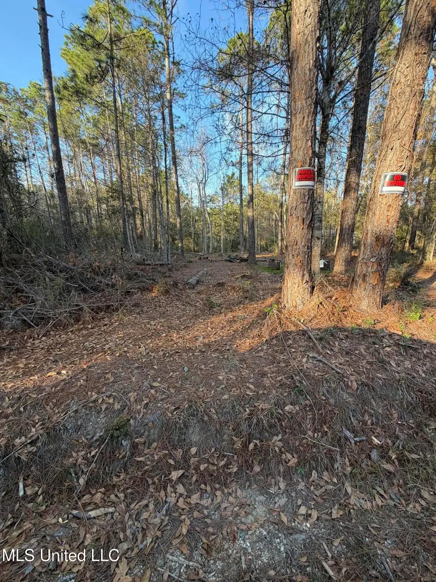 7096 W Holmes Street, Bay Saint Louis, MS 39520 - Image #2