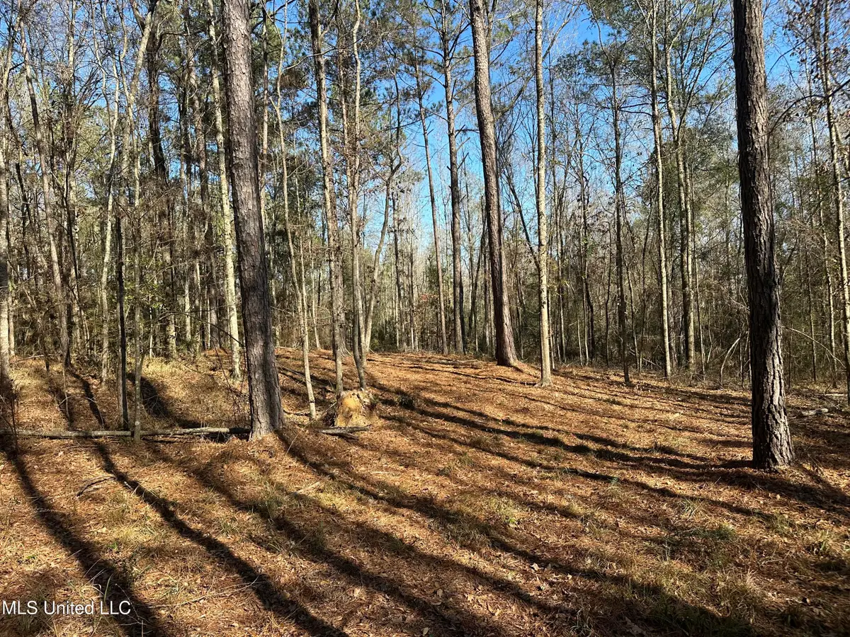 0000 Crooked Creek Road, Silver Creek, MS 39663 - #1