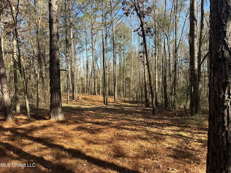 0000 Crooked Creek Road, Silver Creek, MS 39663 - #2