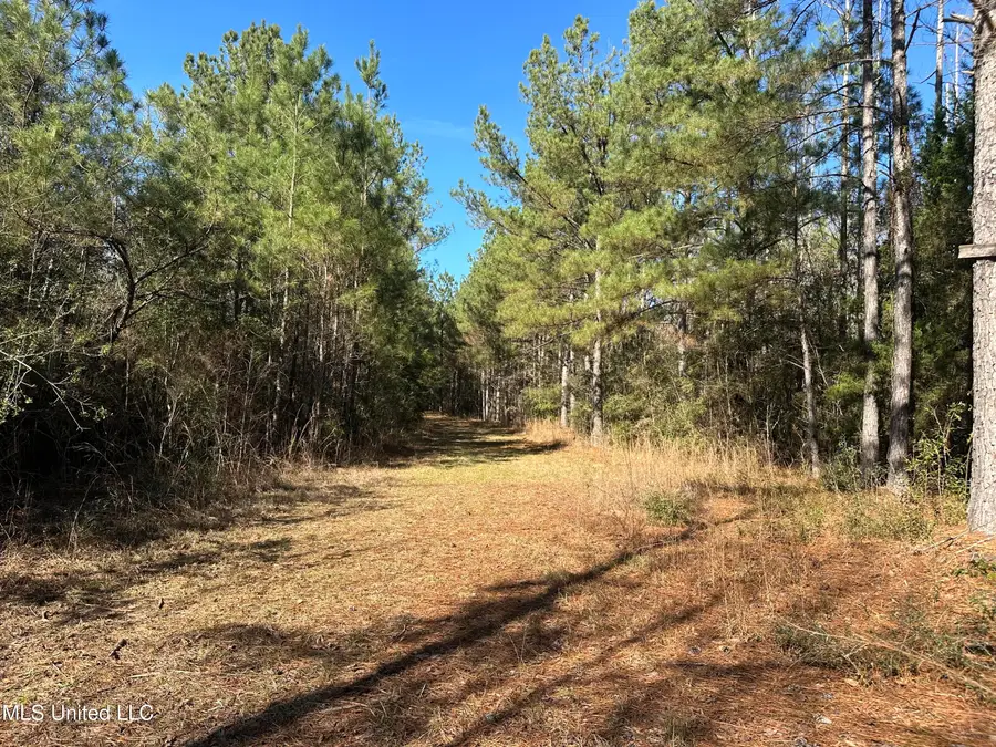 0000 Crooked Creek Road, Silver Creek, MS 39663 - #3
