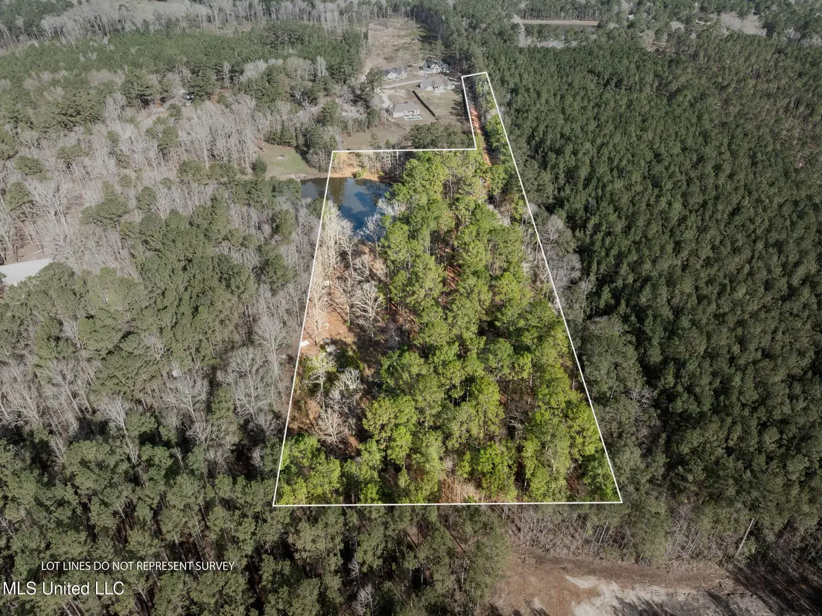 6.45 Acres Todd Road, Sumrall, MS 39482 - #1