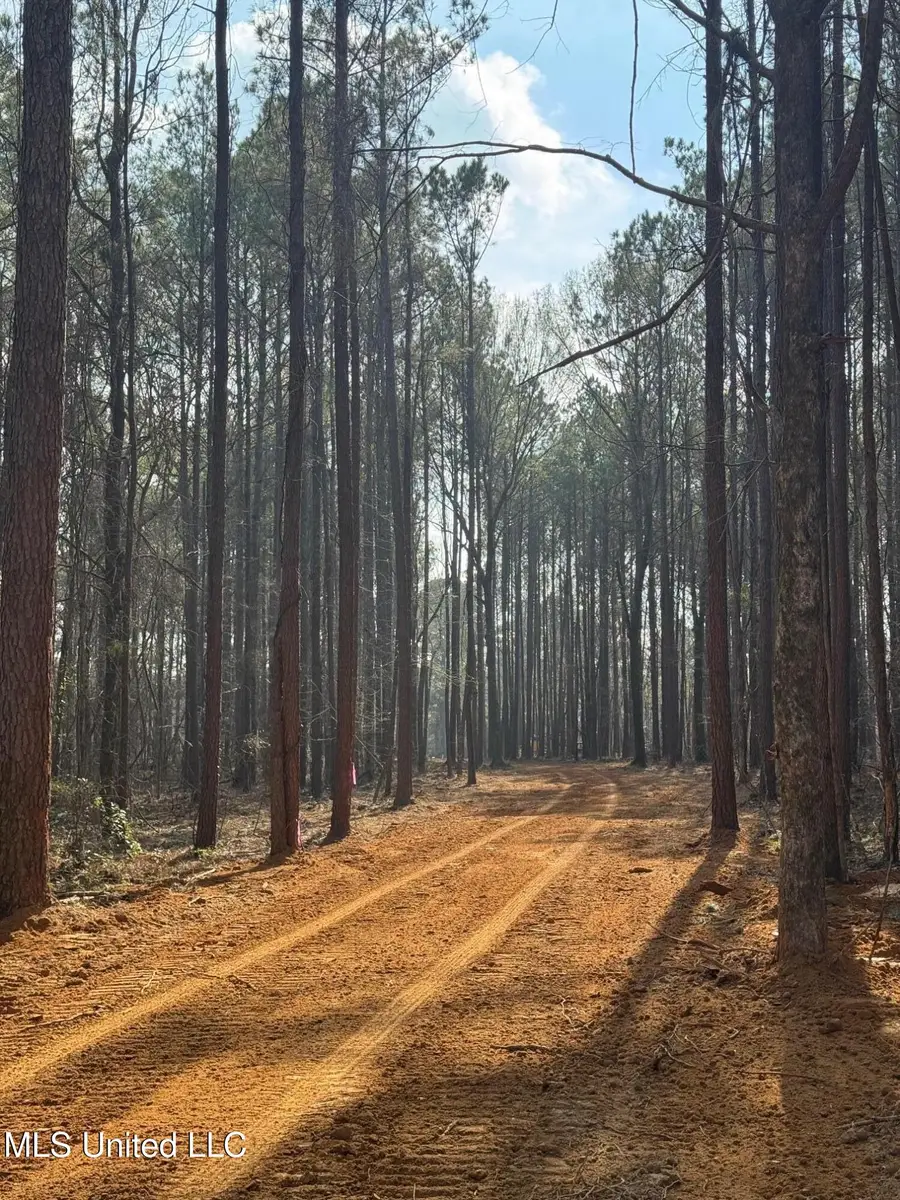 Robinson Road, Canton, MS 39046 - Image #3