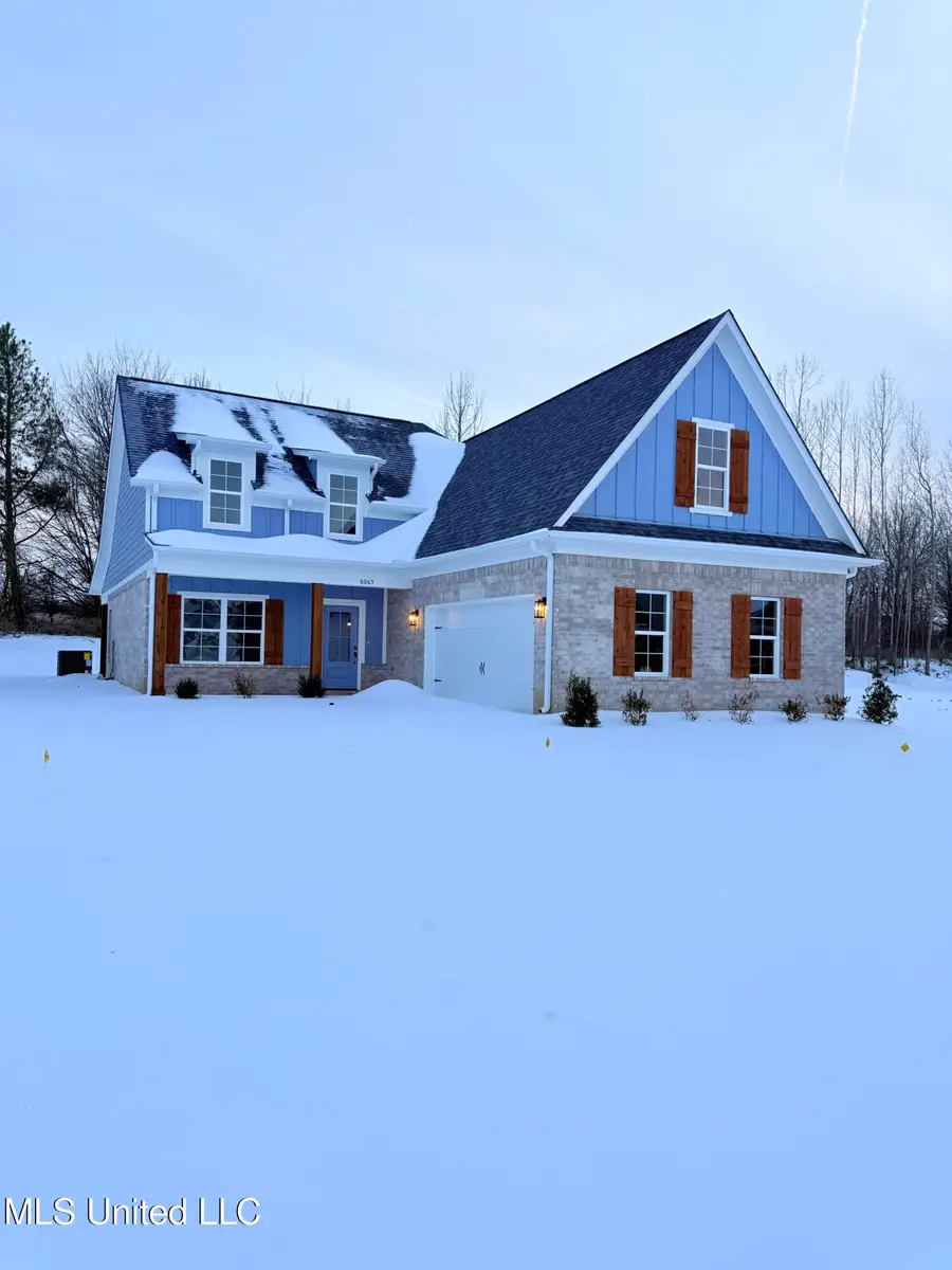 6065 Hickory Point Drive, Walls, MS 38680 - #2