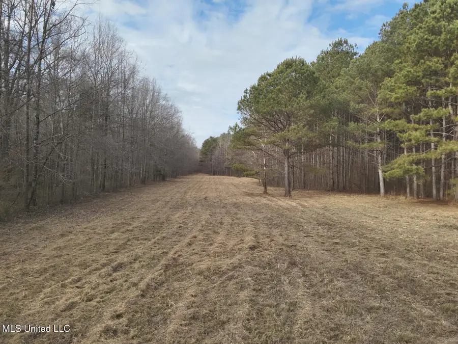 1356 Harrell Road Road, Maben, MS 39750 - #2