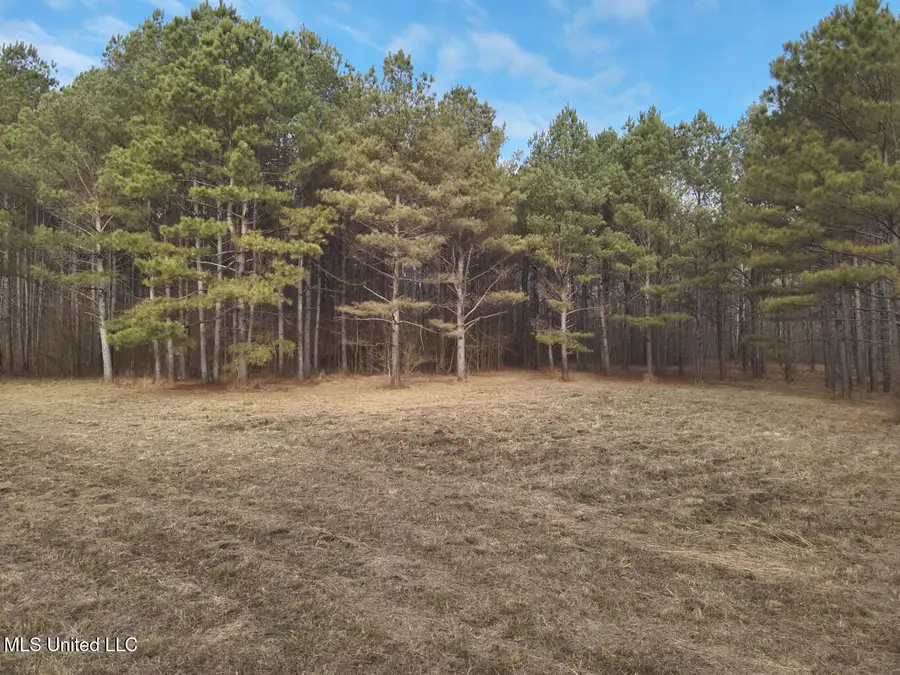 1356 Harrell Road Road, Maben, MS 39750 - #3