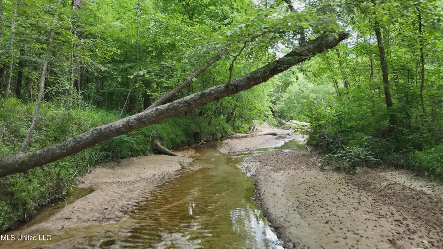 2360 Sullivan Road, Meadville, MS 39653 - #3