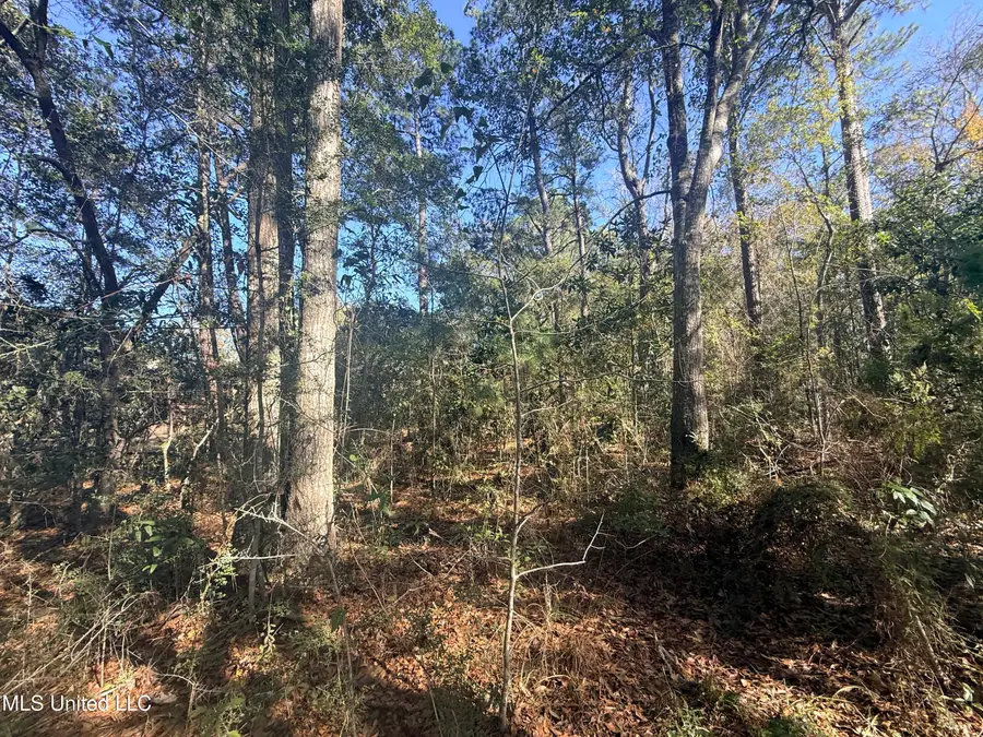 3601 Ling Street, Gautier, MS 39553 - Image #2