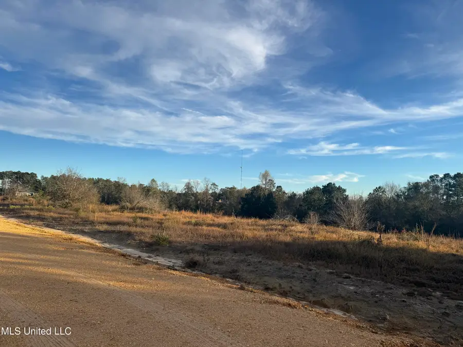 12 Acres Parker Road, McHenry, MS 39561 - Image #2