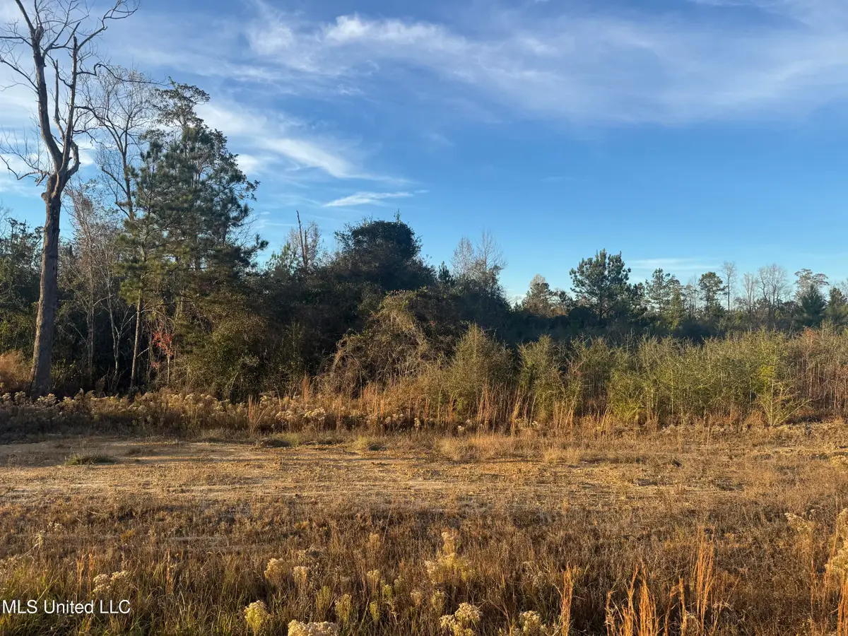 9 Acres Parker Road, McHenry, MS 39561 - Image #1