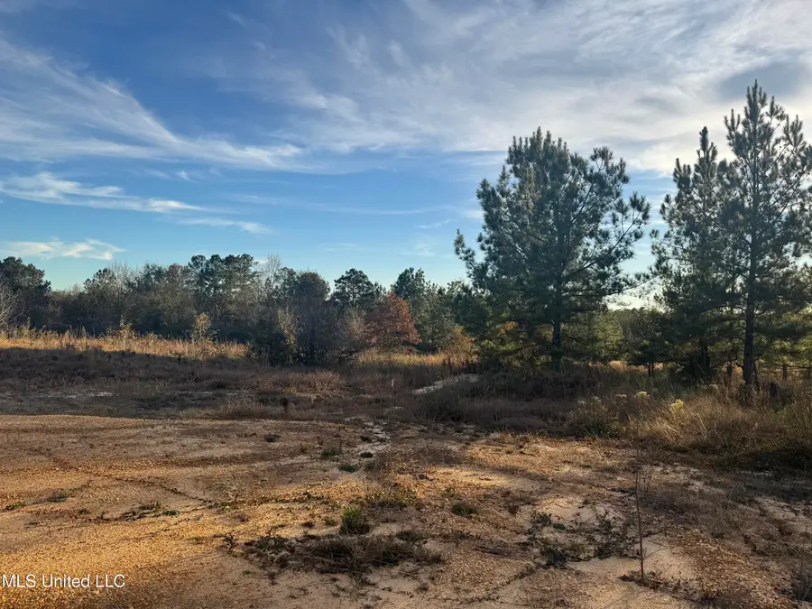 9 Acres Parker Road, McHenry, MS 39561 - Image #3