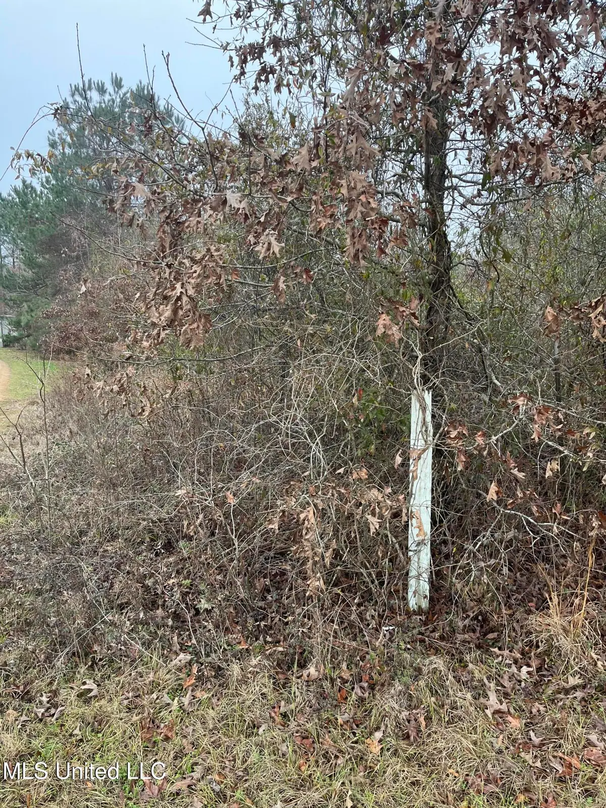 Coventry Road, Natchez, MS 39120 - #1