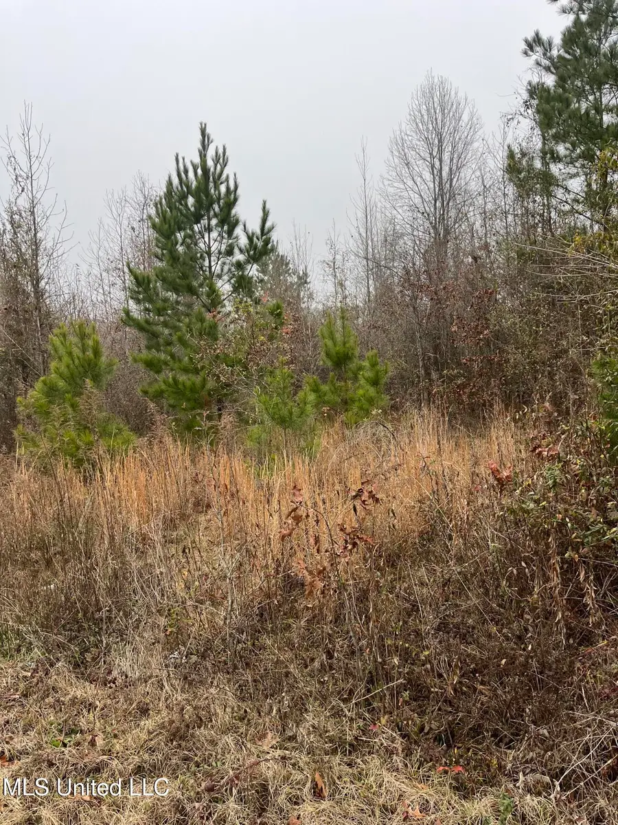 Coventry Road, Natchez, MS 39120 - #2