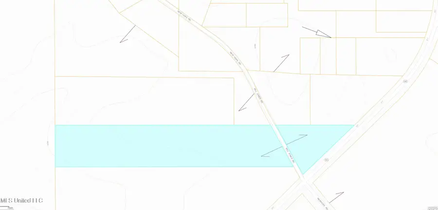 Bill Jones Road, Mount Olive, MS 39119 - #2