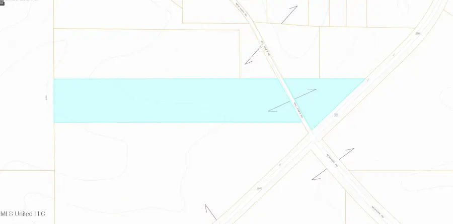 Bill Jones Road, Mount Olive, MS 39119 - #3