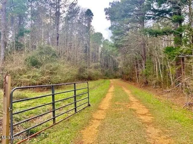 3037 Brandi Road, Summit, MS 39666 - #2