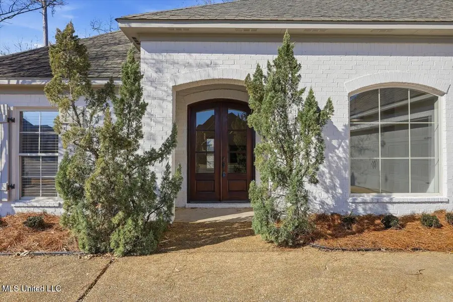 228 Huntington Hollow, Brandon, MS 39047 - Image #3