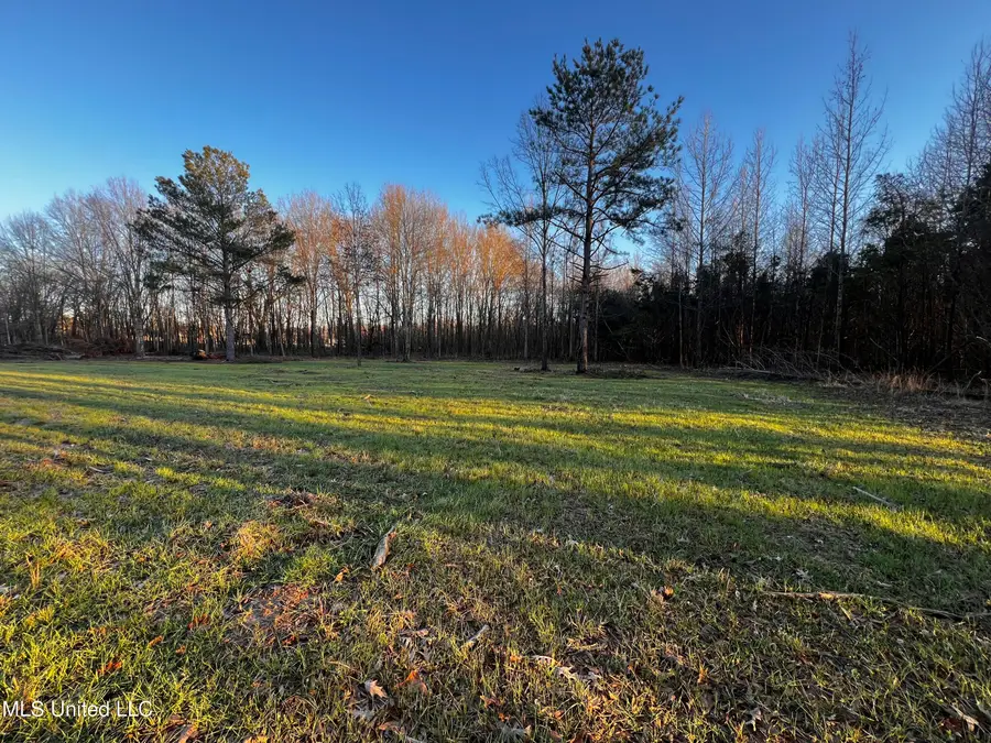 183 W Central Boulevard, Flora, MS 39071 - Image #2