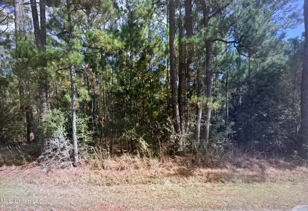 4662 34th Street, Bay Saint Louis, MS 39520