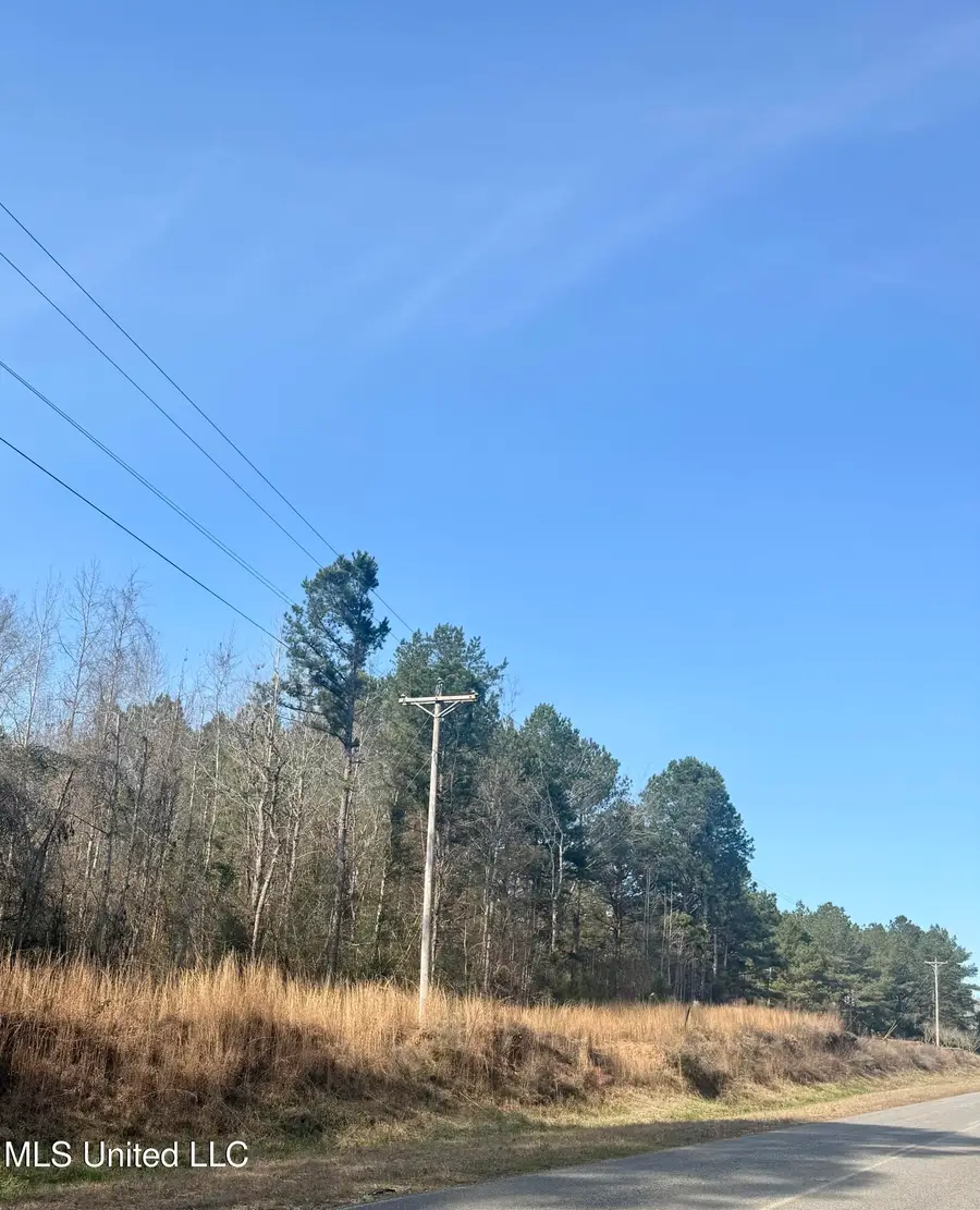 Givens Mullins Road, Jayess, MS 39641 - #2