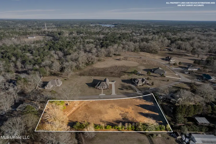 Wandering Oaks Lane, Hattiesburg, MS 39401 - #3