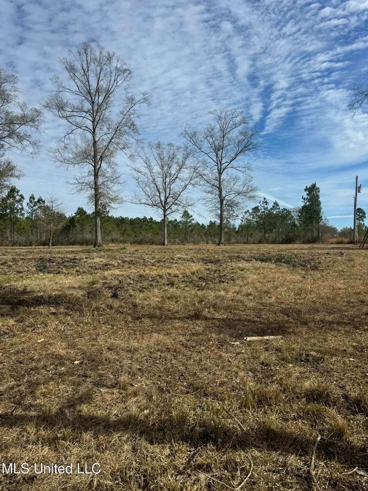 51 L Jack Stewart Road, Poplarville, MS 39470 - #1
