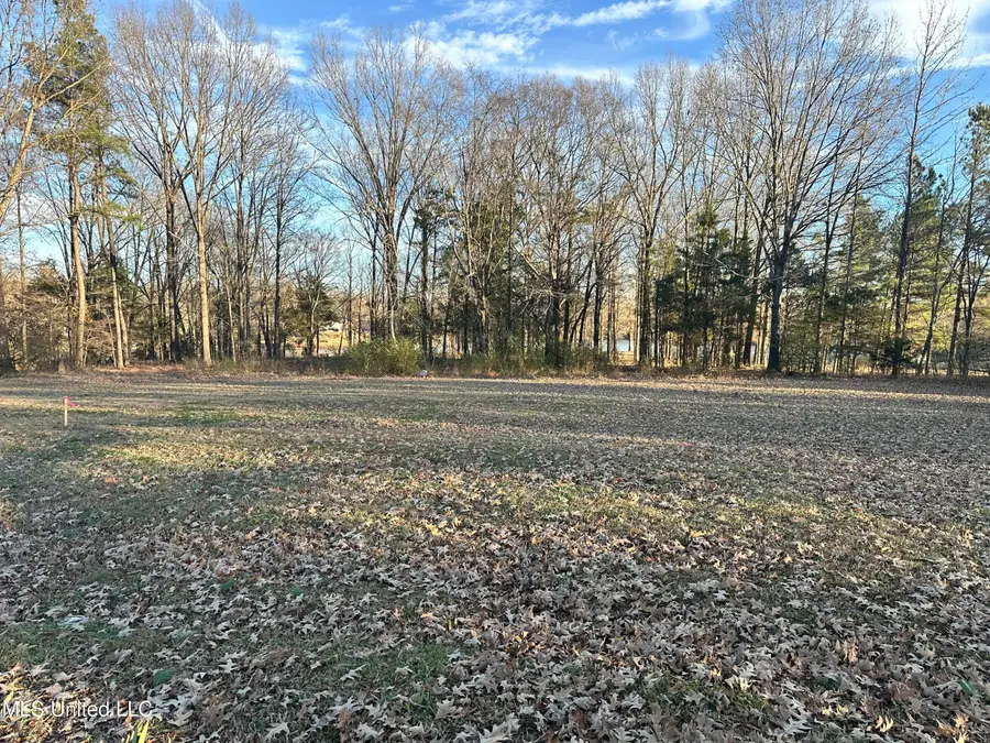 Douglas Road, Hernando, MS 38632 - Image #3