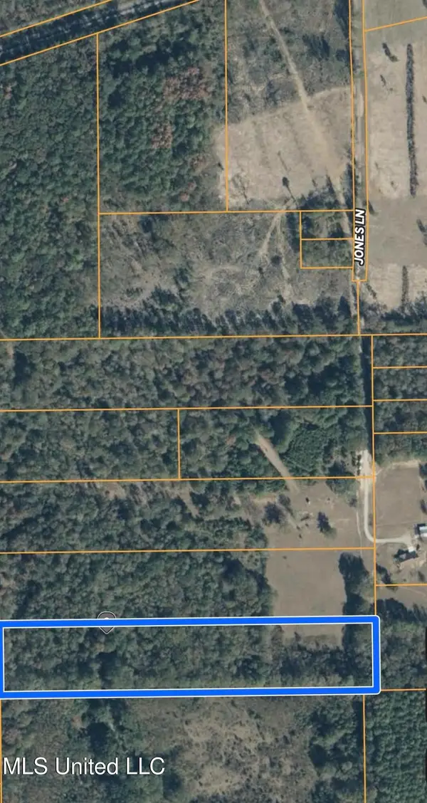 0 Jones Lane, Pelahatchie, MS 39145