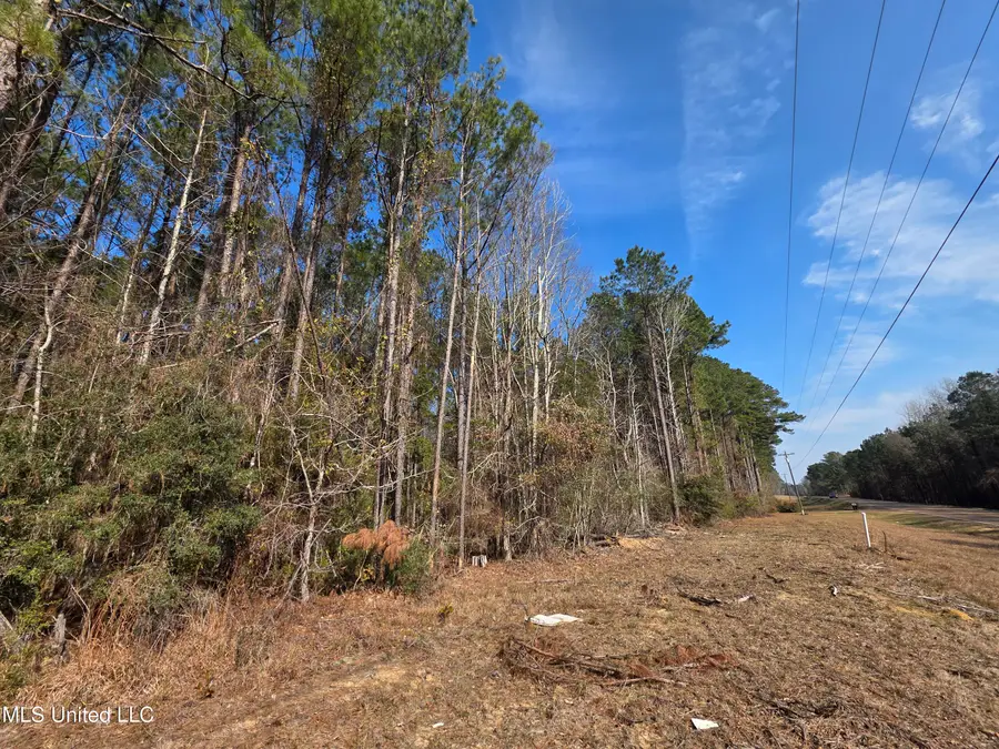 0 Wildwood Trail, Meadville, MS 39653 - #3