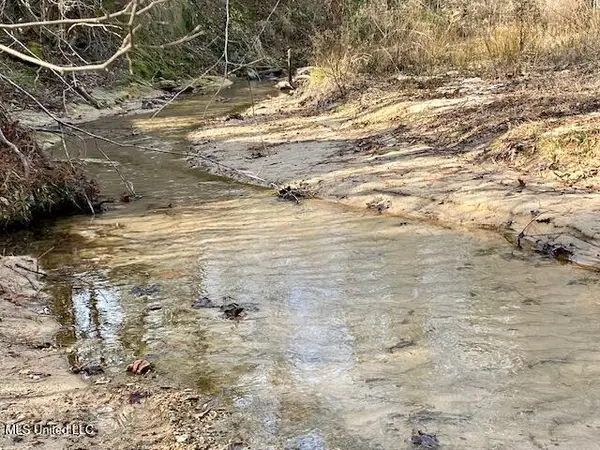 3373 W Highway 24, Woodville, MS 39669