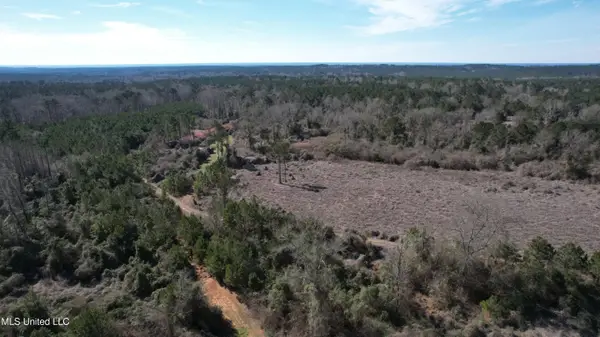 Crooked Creek Rd, Silver Creek, MS 39663