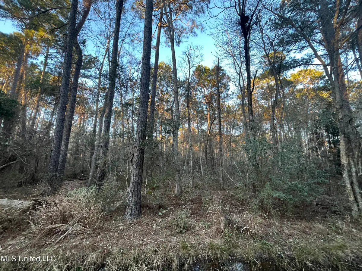 Lot 37-38 E Greene Street, Bay Saint Louis, MS 39520 - Image #1