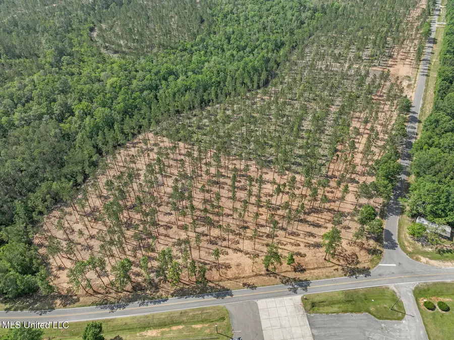 Nhn Ramsey Road, Saucier, MS 39574 - #3