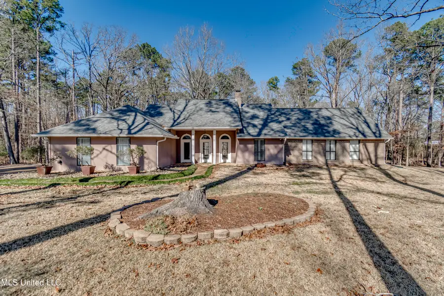 110 Meadowview Drive, Brandon, MS 39047 - #2