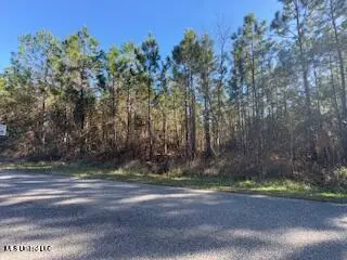 00 Allen Road, Long Beach, MS 39560 - #1