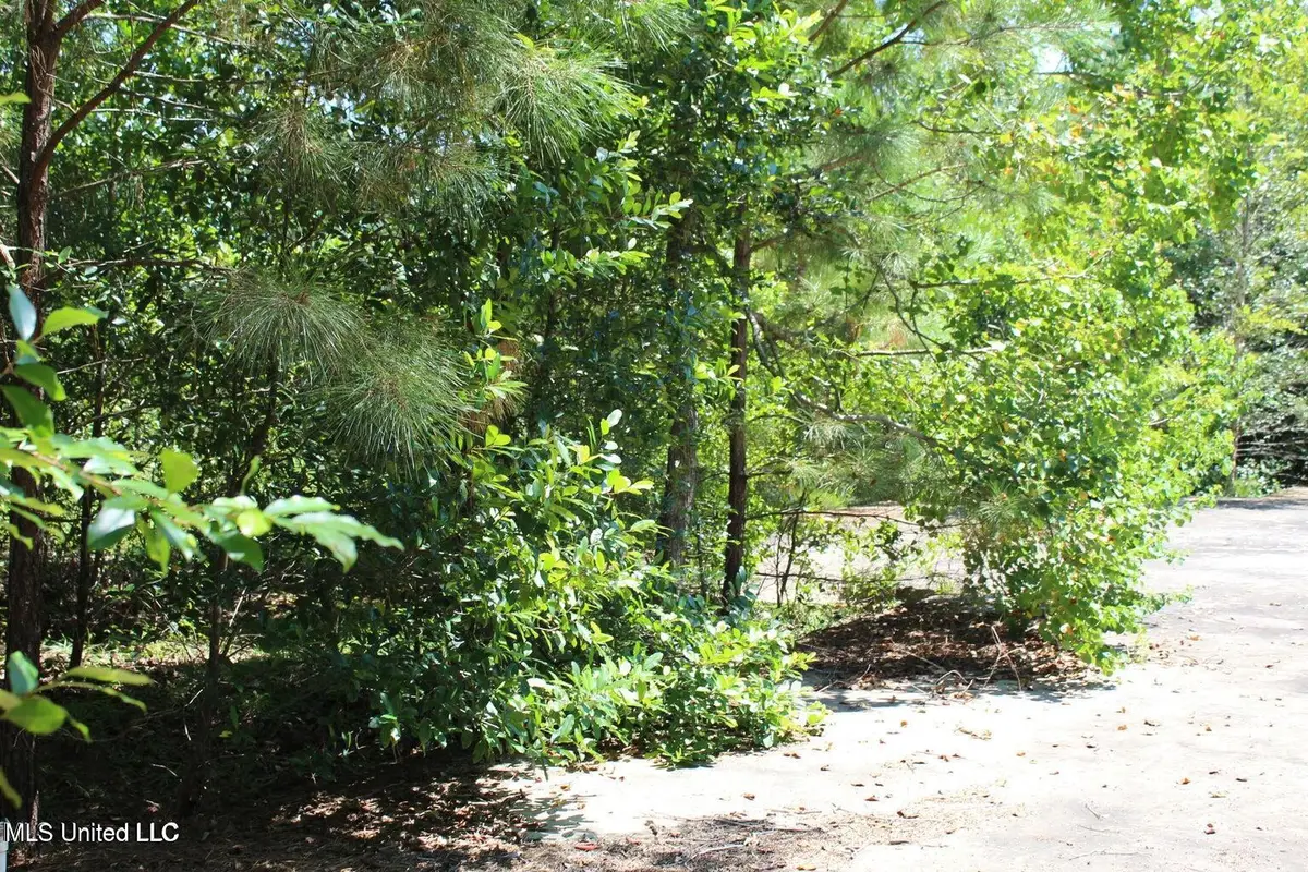 15.4 Acres Lloyd Eubanks Road, Lucedale, MS 39452 - Image #1