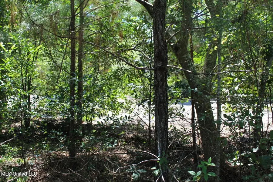 15.4 Acres Lloyd Eubanks Road, Lucedale, MS 39452 - Image #3