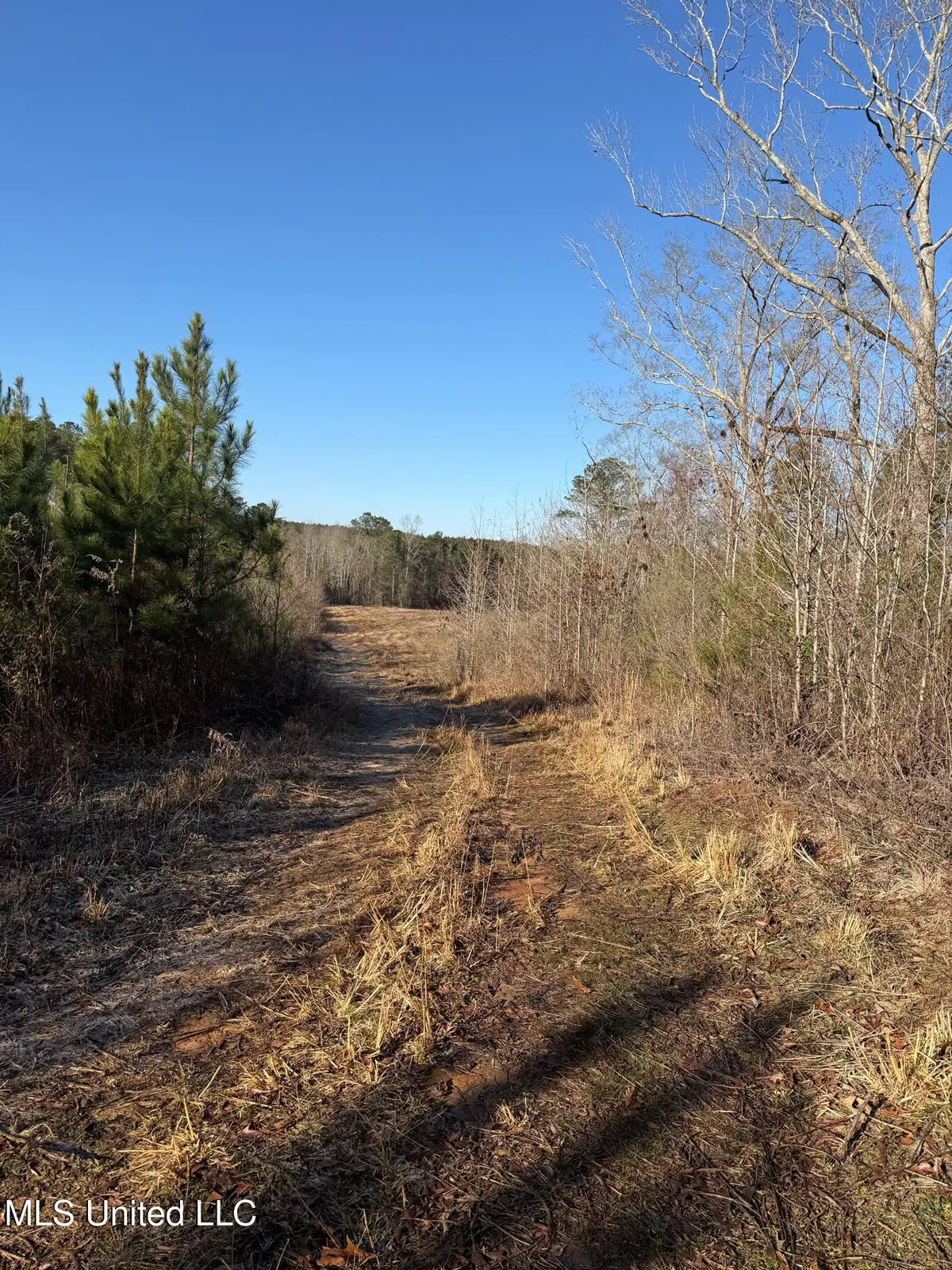 5547 Rocky Point Road, Carthage, MS 39051 - #1