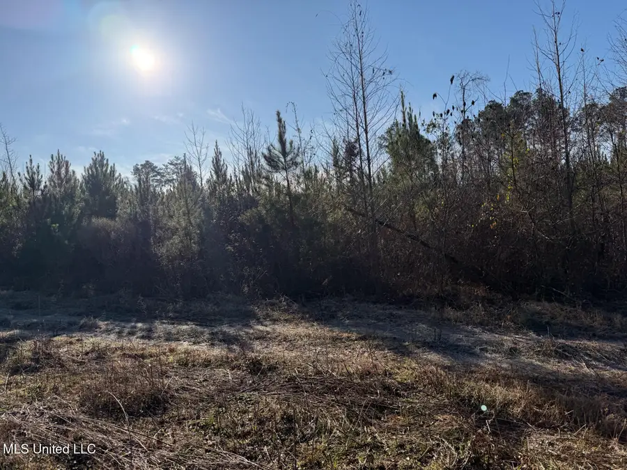 5547 Rocky Point Road, Carthage, MS 39051 - #3