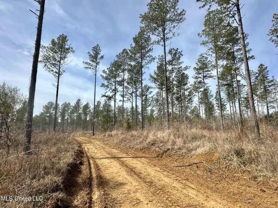 10 Dry Grove Road, Terry, MS 39170 - #3