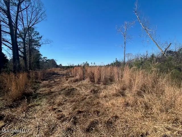 Robert Jones Road, Summit, MS 39666 - #2