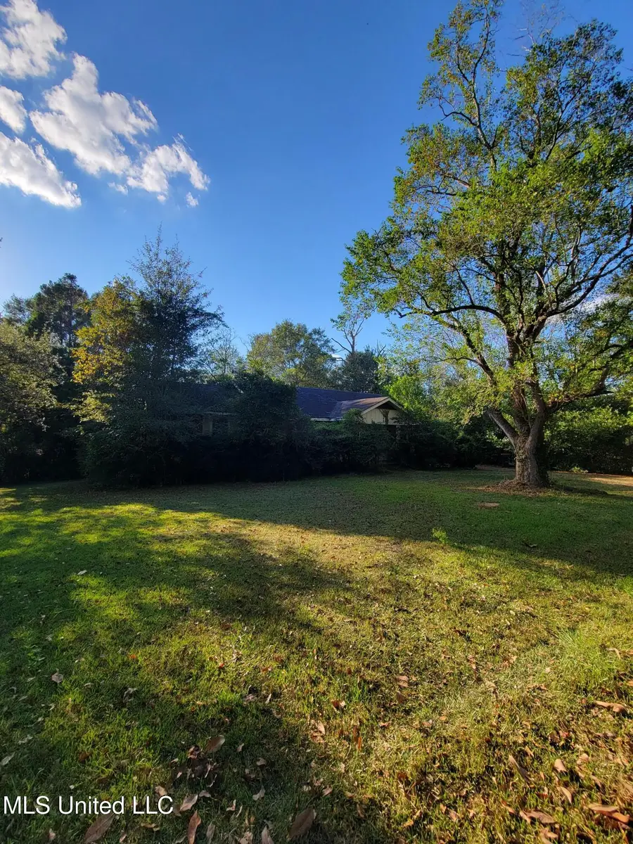 167 Hinson Street, Lucedale, MS 39452 - Image #2