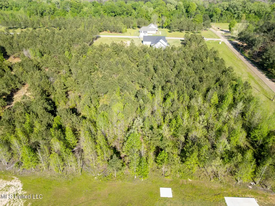 Stout Road, Canton, MS 39046 - Image #2