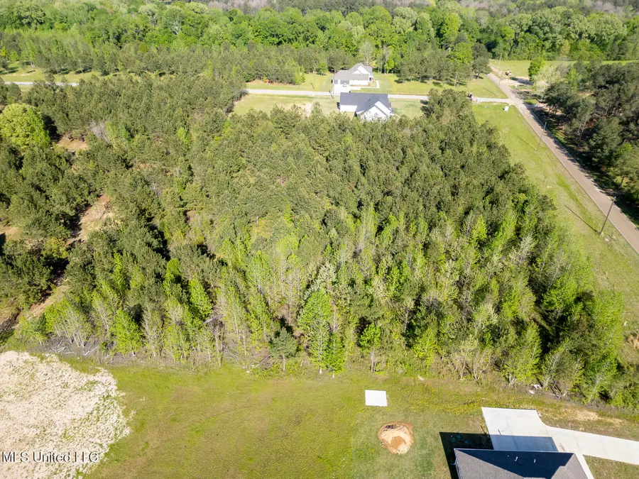 Stout Road, Canton, MS 39046 - Image #3