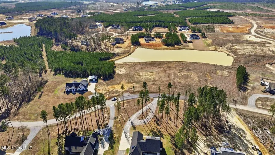 670 Stull Road, Brandon, MS 39047 - #3