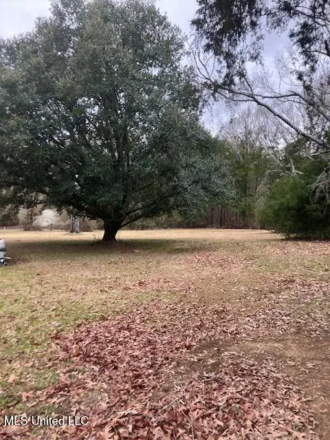 14999 Dry Grove Road, Raymond, MS 39154 - #3